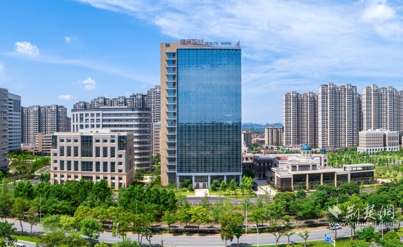加快建成国内一流软件名园,光谷现代服务业园蓄势待发!